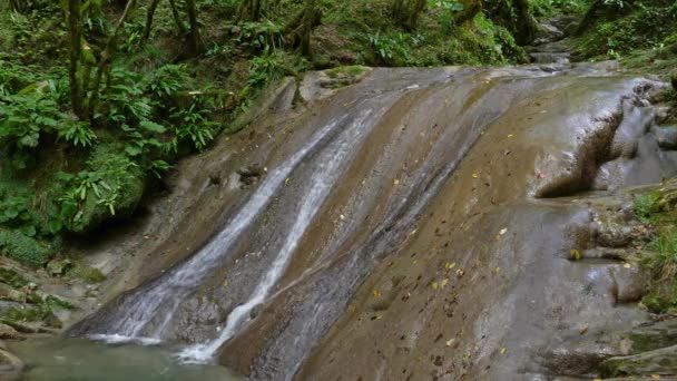 Landschaft Mit Einem Wasserfall Der Durch Die Felsen Sommerwald Des — Stockvideo