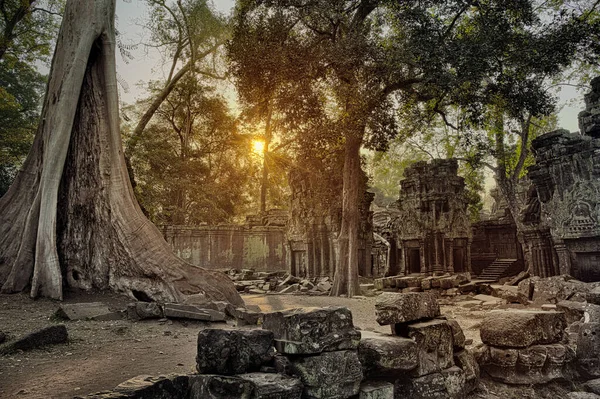 Prohm Templo Nascer Sol Angkor Wat Siem Reap Camboja — Fotografia de Stock