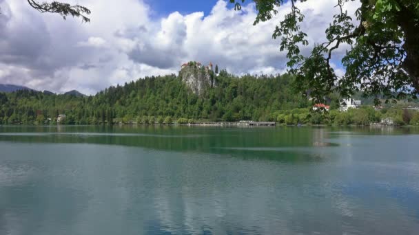 Bled Lake Blejsko Jezero Slovenya Avrupa Daki Manzara — Stok video