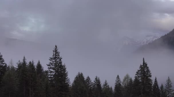 Horské Alpy Krajina Stromy Mlze Mraky Itálii Jaře Timelapse — Stock video