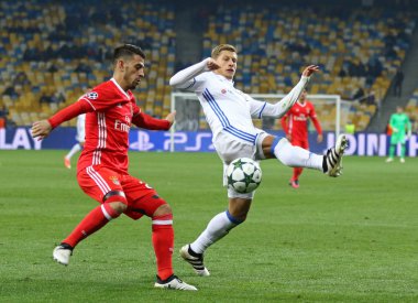 UEFA Şampiyonlar Ligi: Fc Dinamo Kiev v Benfica