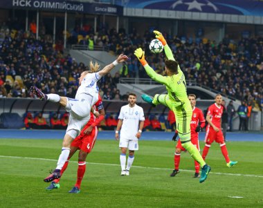 UEFA Şampiyonlar Ligi: Fc Dinamo Kiev v Benfica