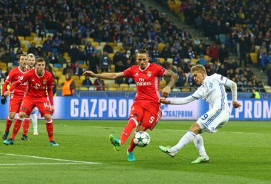UEFA Şampiyonlar Ligi: Fc Dinamo Kiev v Benfica