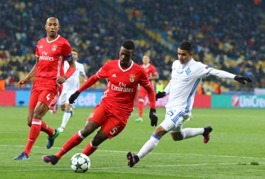 UEFA Şampiyonlar Ligi: Fc Dinamo Kiev v Benfica