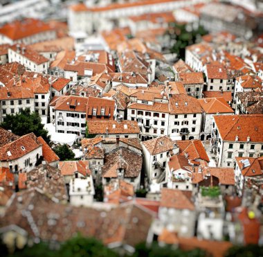 Aerial view of buildings in Kotor old town, Montenegro clipart