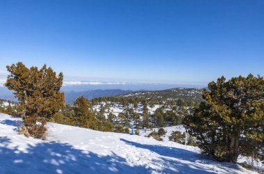 Troodos Dağları, Kıbrıs'ta kış manzarası