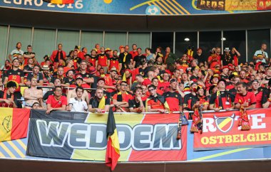UEFA Euro 2016: İsveç v Belçika