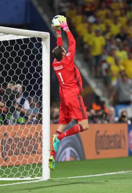 UEFA Euro 2016: İsveç v Belçika