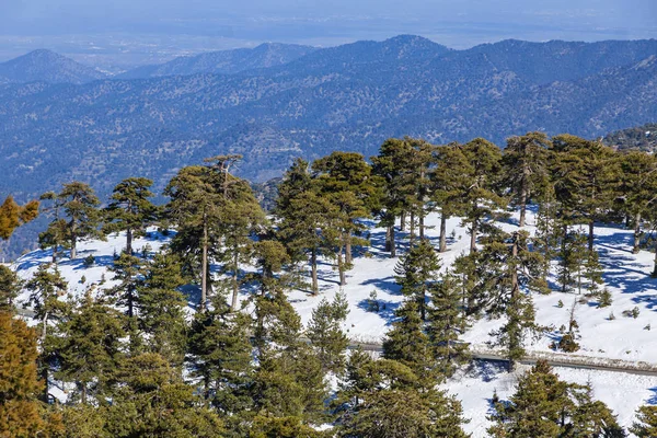 Zimní krajina v pohoří Troodos, Kypr — Stock fotografie