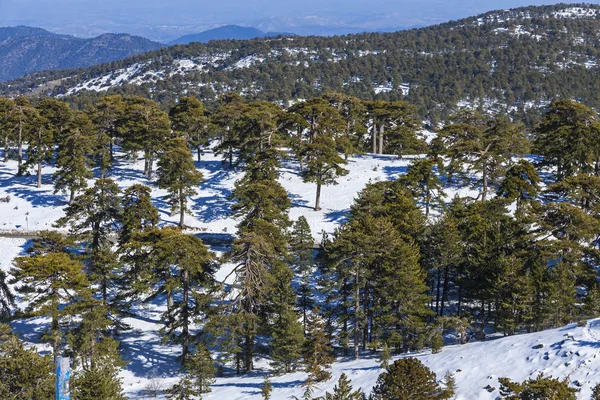 Paisaje invernal en las montañas Troodos, Chipre — Foto de Stock