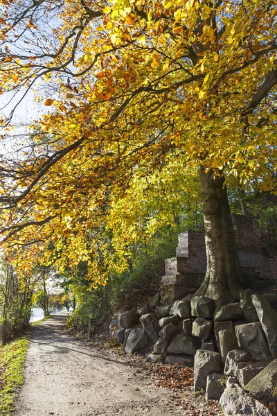 Jardín en el centro de Lubeck, Alemania — Foto de Stock