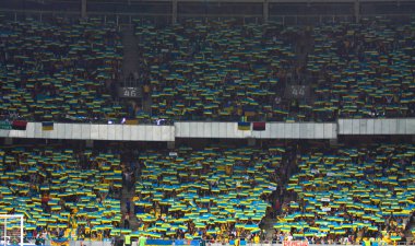 FIFA Dünya Kupası 2014 niteleyici oyun Ukrayna v İngiltere