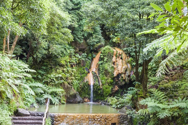 Natuurlijke Park Caldeira Velha op Sao Miguel island, Azoren, Portug — Stockfoto