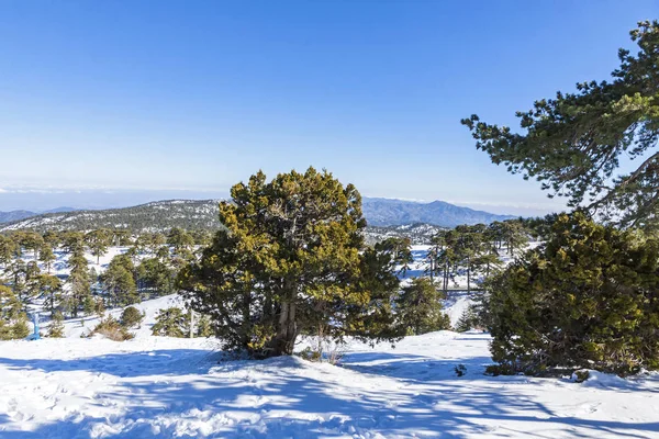 Winterlandschaft in troodos Berge, Zypern — Stockfoto