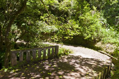 Yürüyüş boyunca sulama kanalları (Levada), Madeira, Portekiz