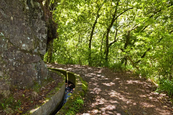 Hiking Irrigation Canals Historic Water Supply System Known Levada Magical — Stock Photo, Image