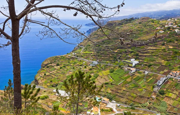 Ατλαντικό ακτή στο νησί Madeira, Πορτογαλία — Φωτογραφία Αρχείου