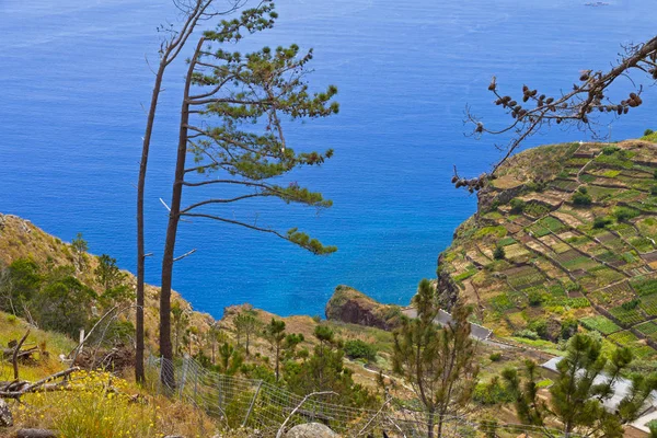 Atlanten kusten på ön Madeira, Portugal — Stockfoto