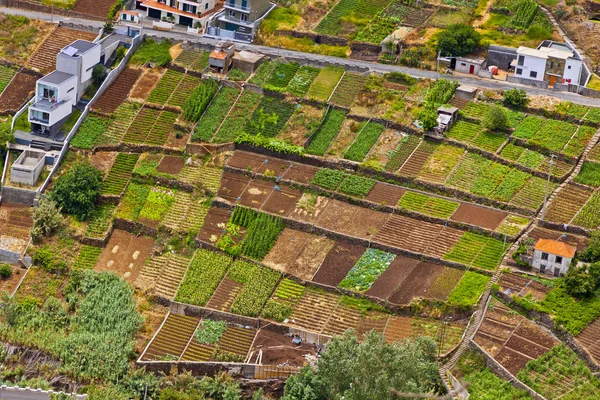 Pittoresco paesaggio rurale dell'isola di Madeira, Portogallo — Foto Stock