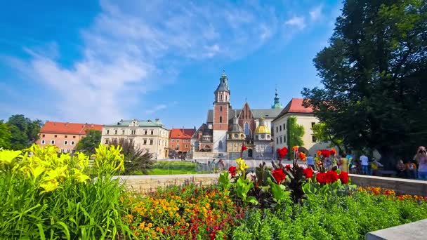 Wawel royal castle krakow, Polonya karmaşık görünümünü yaz — Stok video