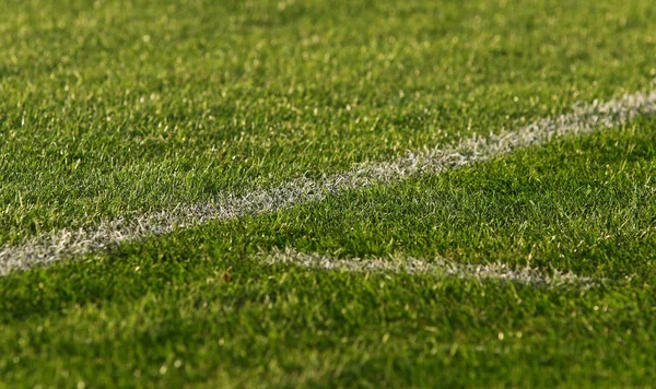 Зеленый футбол (футбол) поле — стоковое фото
