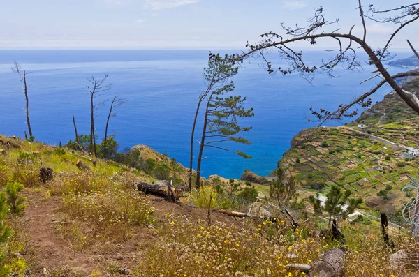 Costa del Océano Atlántico en la isla de Madeira, Portugal — Foto de Stock