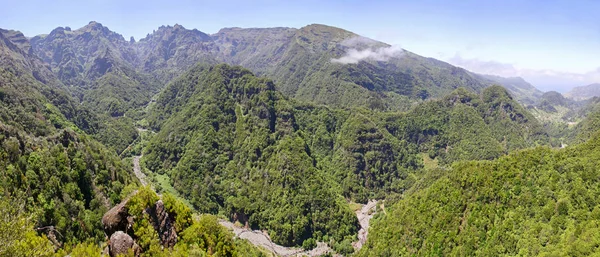 Bosque de laurel en la isla de Madeira, Portugal — Foto de Stock