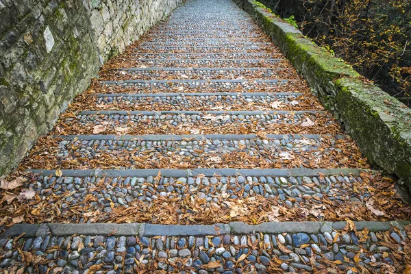 Etapas Pedra Pavimentadas Vintage Cobertas Com Folhas Caídas Secas Marrons — Fotografia de Stock