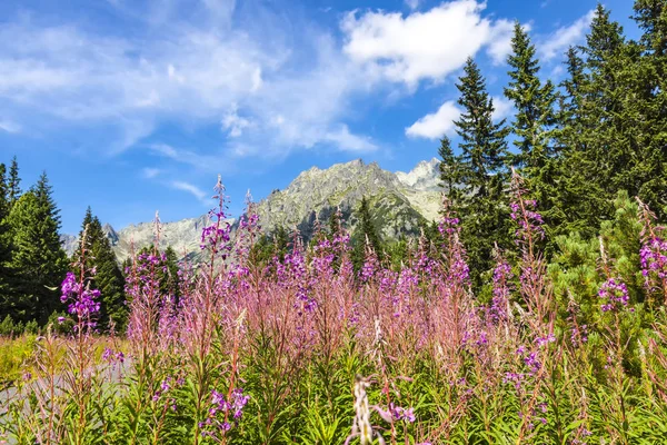 Vista pitoresca das montanhas Tatra, Eslováquia — Fotografia de Stock