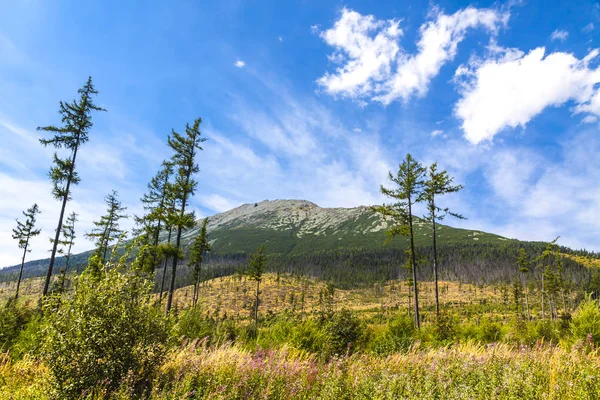 Pittoresca vista sui monti Tatra, Slovacchia — Foto Stock