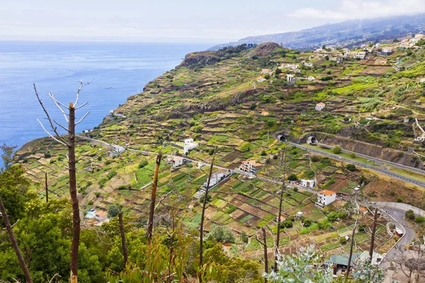 Ατλαντικό ακτή στο νησί Madeira, Πορτογαλία — Φωτογραφία Αρχείου