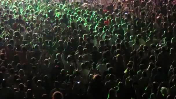 Juichende menigte verhogen handen tijdens concert — Stockvideo