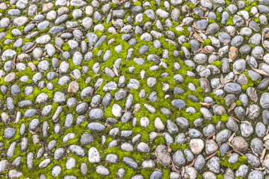 Vintage çakıl taşı kaplama yüzeyi