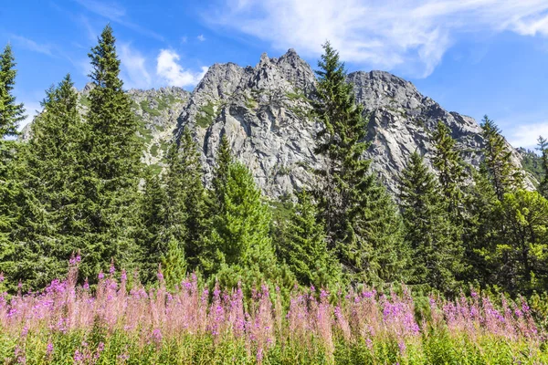 Malerischer Blick auf das Tatra-Gebirge, Slowakei — Stockfoto