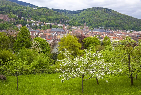 Heidelberg città in primavera, Baden-Wurttemberg, Germania — Foto Stock