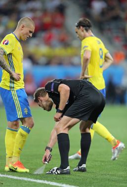 UEFA Euro 2016: İsveç v Belçika