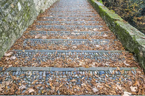 Passos de pedra vintage cobertos com folhas caídas — Fotografia de Stock