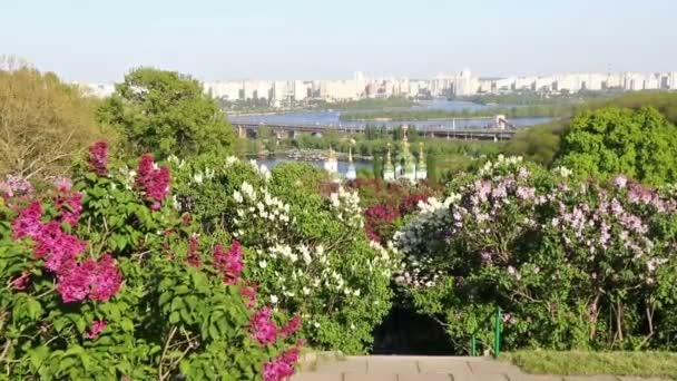 Kyiv botaniska trädgården på våren, Ukraina — Stockvideo
