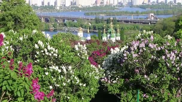 Jardín Botánico de Kiev en primavera, Ucrania — Vídeos de Stock