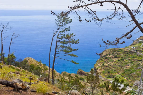 Atlanten kusten på ön Madeira, Portugal — Stockfoto