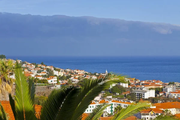Vista panorámica de edificios en la ciudad de Funchal, isla de Madeira, Portug — Foto de Stock
