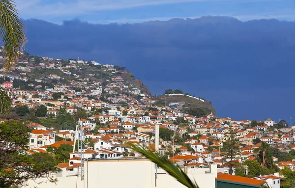 Scenic view of buildings in Funchal city, Madeira island, Portug — Stock Photo, Image