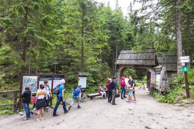 Milli Parkı Dolina Bialego yakınındaki Zakopane, Polonya