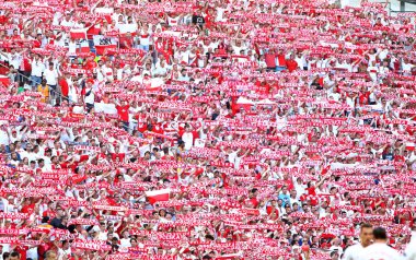 UEFA Euro 2016 oyun Ukrayna v Polonya