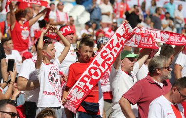 UEFA Euro 2016 oyun Ukrayna v Polonya