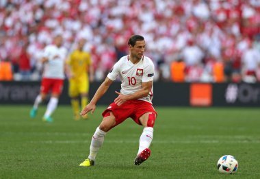 UEFA Euro 2016 oyun Ukrayna v Polonya