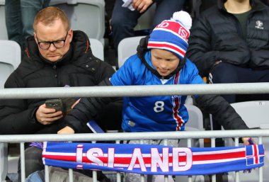 Dünya Kupası 2018 Yeterlik: İzlanda v Reykjavik Ukrayna'da