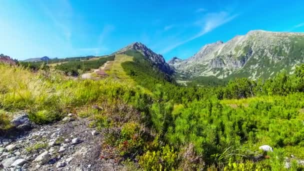 Vista pitoresca de verão das montanhas do Alto Tatras, Eslováquia — Vídeo de Stock