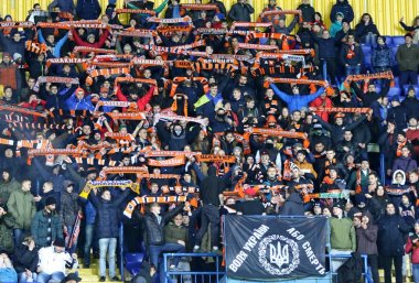 UEFA Champions League: Shakhtar Donetsk v Feyenoord