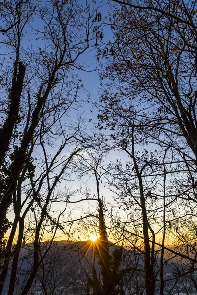 Silueta de ramas de árbol contra fondo del atardecer —  Fotos de Stock